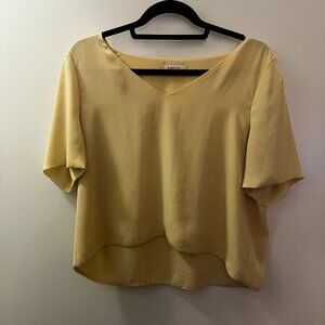 Aritzia Babaton V-Neck Yellow Blouse
